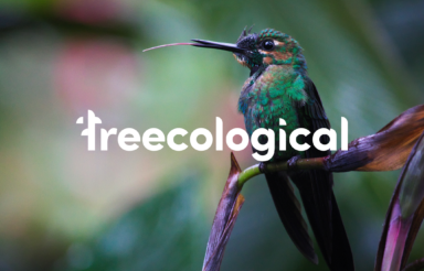 Treecological: Branding