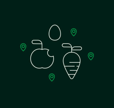 Treecological, BOS+, logo, branding, grafisch ontwerp Antwerpen, iconen, Logo Ontwerp, merkidentiteit, website, online, calculator