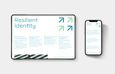 Resilient Security: Branding, Website
