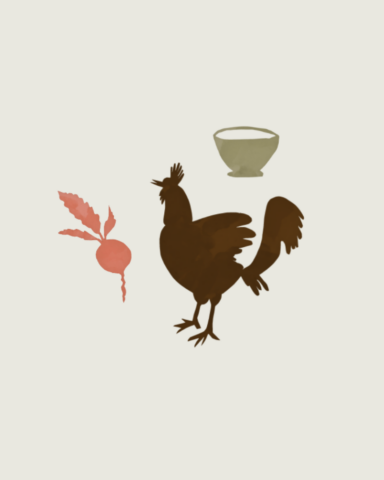 Veldvolk, branding, logo, website, inclusief, sociaal, duurzaam, communicatie, grafisch ontwerp antwerp, branding agency antwerp