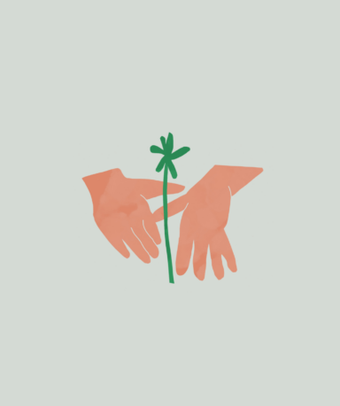 Veldvolk, branding, logo, website, inclusief, sociaal, duurzaam, communicatie, grafisch ontwerp antwerp, branding agency antwerp